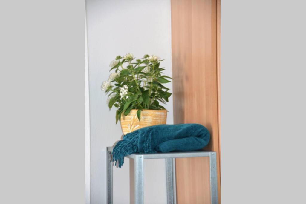 B2 - The Cozy One Apartment Aigio Exterior photo
