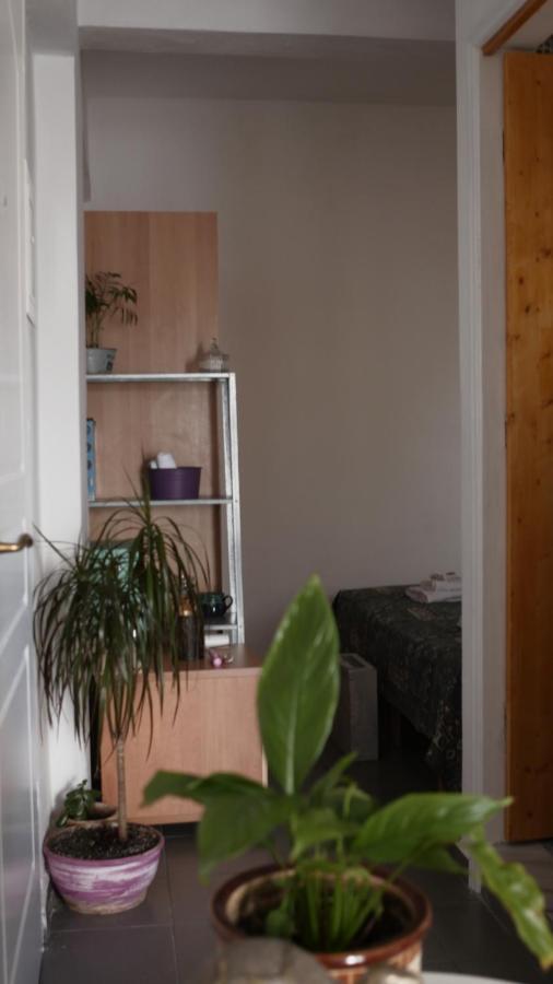 B2 - The Cozy One Apartment Aigio Exterior photo
